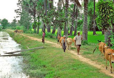 Cambodia Countryside